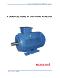 KLEEdrive T2C 132M2-2 15kW IE2 UL/CSA