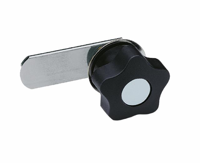 E+G Latch w/straight lever and key