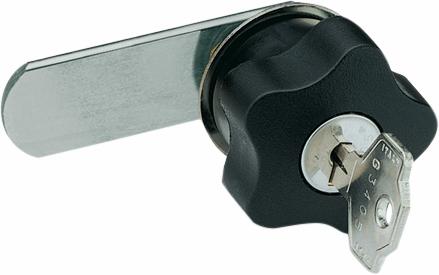 E+G Latch w/straight lever and key