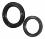 Oil seal ring WA 55 100 / 10